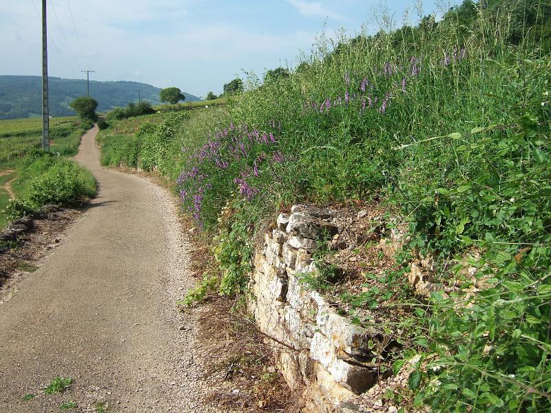 2010-05- (23).JPG